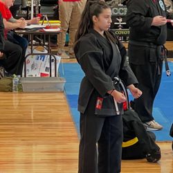 Mountain Eagle Karate Academy