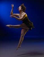 Ruth Page Center for the Arts by null