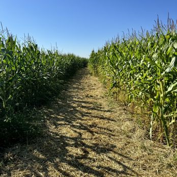 EZ Orchards Farm Market - Corn Maze - Fruits & Veggies Near Me - Salem, Oregon EZ Orchards Farm Market - Corn Maze - Fruits & Veggies Near Me - Salem, Oregon