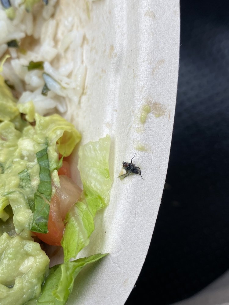 CHIPOTLE MEXICAN GRILL Updated August 2024 18 Photos & 33 Reviews