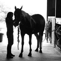 Kings Valley Stables - Learn to groom, tack and interact