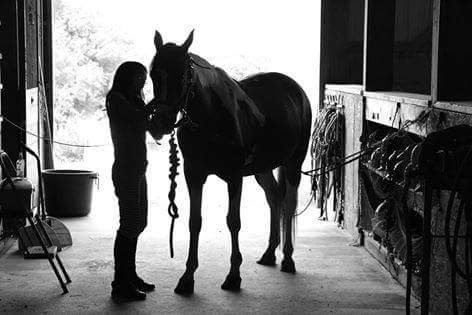 Kings Valley Stables - equestrian in Clarksburg, MD