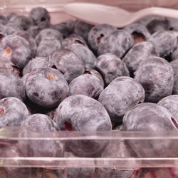 Grocery Outlet - Got to be the hugest blueberries I've ever seen in my life. Thought they were grapes at first! So nice