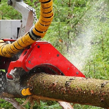 Danny DP Corp Tree Service - Tree Services Near Me - Port Washington, New York Danny DP Corp Tree Service - Tree Services Near Me - Port Washington, New York