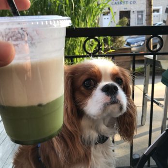 Mirror Tea & Sake House - Cafes Near Me - Brooklyn, New York Mirror Tea & Sake House - Cafes Near Me - Brooklyn, New York