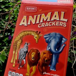 ALDI - Remember "McDonaldland Cookies" from yesteryear?  These taste EXACTLY like them!  Seriously...get these y'all!!!  ALDI Supermarket.