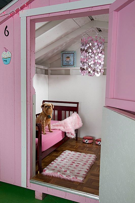 DELAWARE PET STUFF Updated October 2024 435 Dunlap St, Delaware