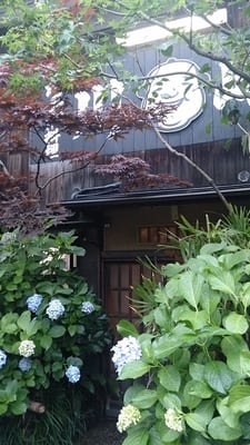 Chanko Kawasaki by null