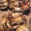 Father & Son Seafood gift card