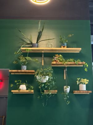 Bearcat Baked by null