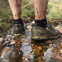Cannock Chase Forest - Trail running fun