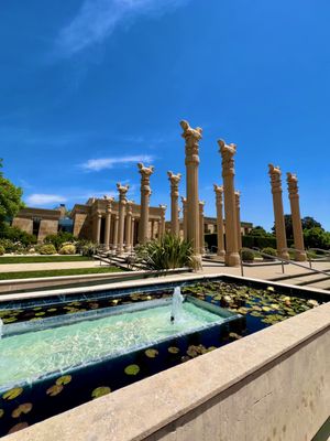 Darioush Winery by null