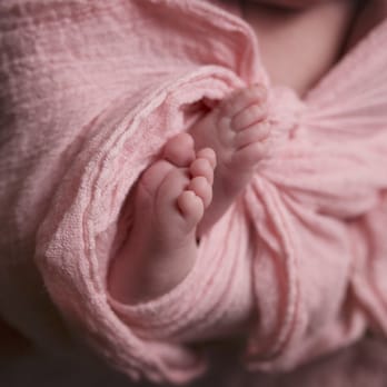Little Lashes Photography - Little piggies! - Session Photography Near Me