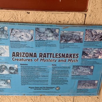 Buffalo Corral Riding Stables - Snakes to know when on the trails - Horseback Riding Near Me - Fort Huachuca, Arizona