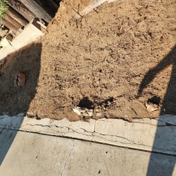 Carrillo's Landscaping & Tree Service - After...clean, level, no stumps!!!