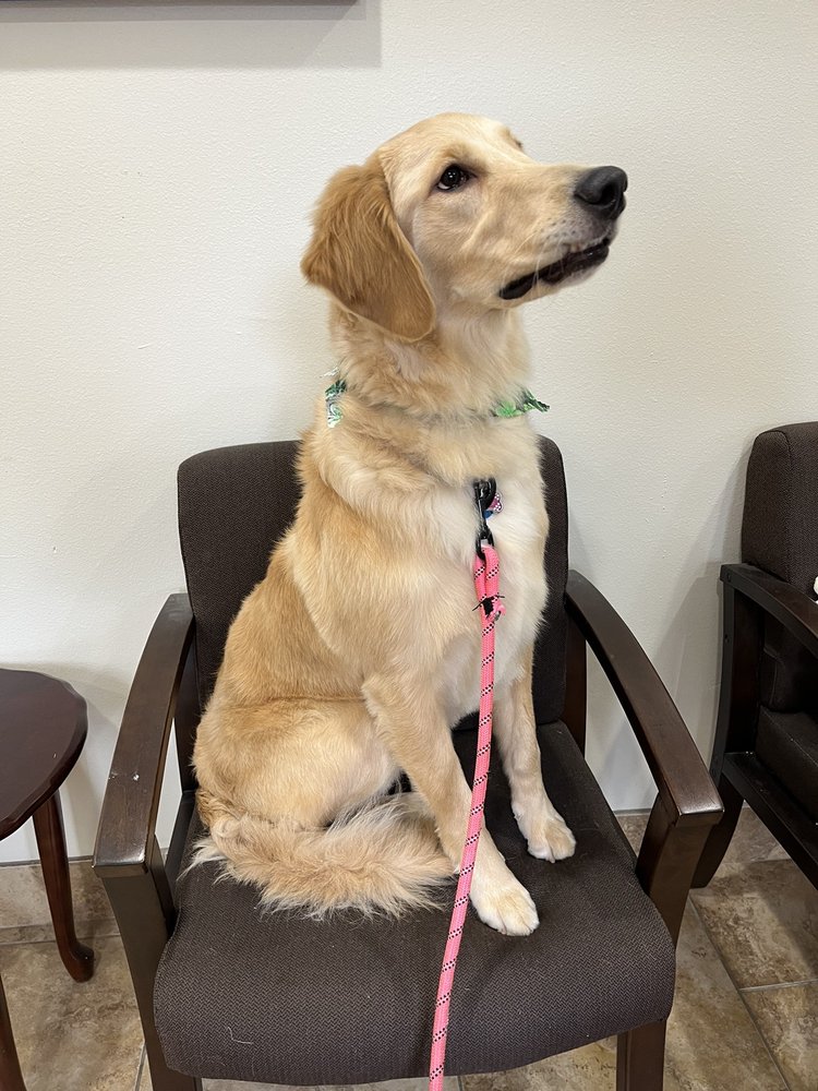 POOCHIE BELLA’S PET GROOMING Updated August 2024 732 Westbank Expy