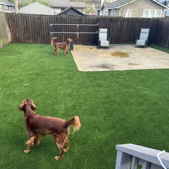Southern Turf - Artificial Turf Near Me - Jacksonville Beach, Florida Southern Turf - Artificial Turf Near Me - Jacksonville Beach, Florida