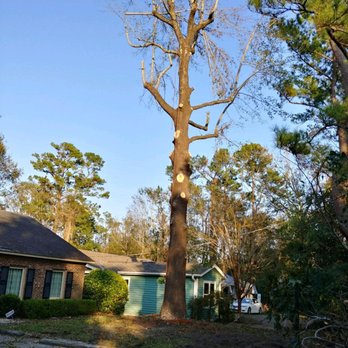 Living Color Tree Service - Tree Services Near Me Living Color Tree Service - Tree Services Near Me