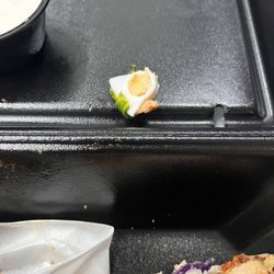 Fire Wings - Plastic piece