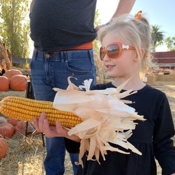 Larry's Produce - October 2019 Pumpkin Patch at larry's Produce - Fruits & Veggies Near Me - Fairfield, California Larry's Produce - October 2019 Pumpkin Patch at larry's Produce - Fruits & Veggies Near Me - Fairfield, California