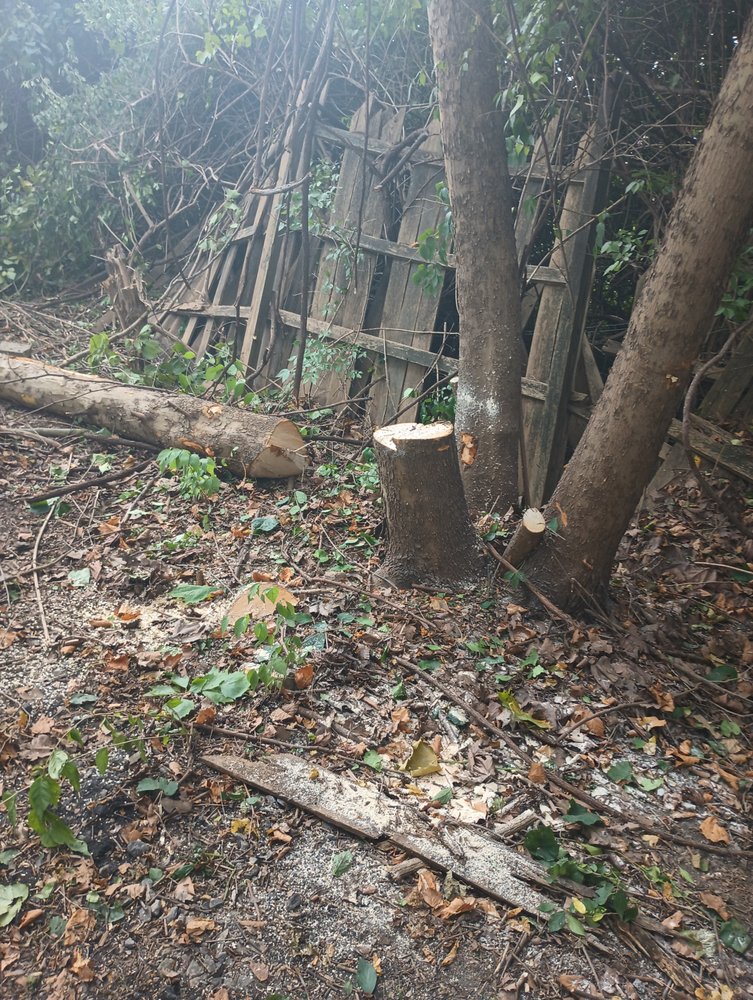 Johnson's Tree Service - tree service in Columbus, OH