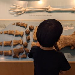 Doug Siden Visitor Center at Crab Cove and Aquarium - Whale bone
