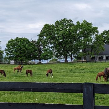 Buffalo Trace Distillery - Horse country - Distilleries Near Me - Frankfort, Kentucky