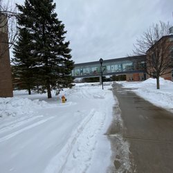 Clarkson University