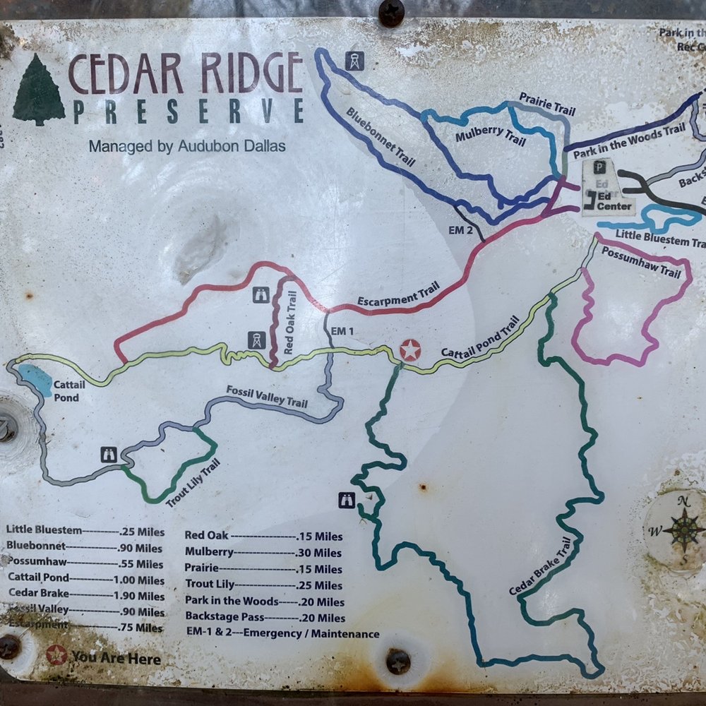 Cedar Ridge Preserve - The map of trails - Hiking Near Me - Dallas, Texas Cedar Ridge Preserve - The map of trails - Hiking Near Me - Dallas, Texas