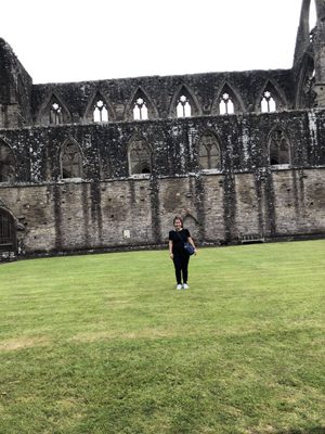 Tintern Abbey by null