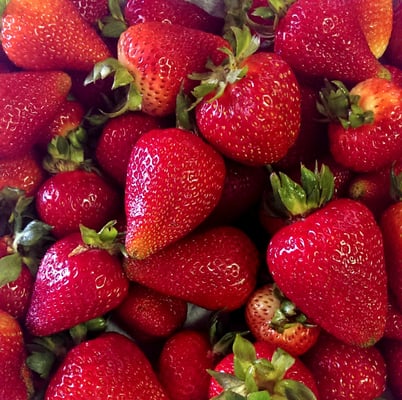 Las Vegas Farmers Market LLC at Floyd Lamb Park by null