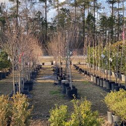 Parsons Garden Center