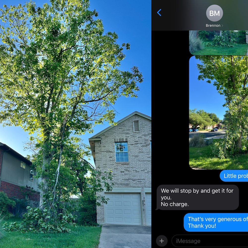 Full Canopy Tree Care - This branch broke yesterday morning and I texted my arborist and he had his people come get it. It's like it never happened. - Tree Services Near Me - Austin, Texas