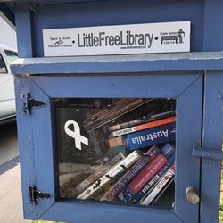 Little Free Library - Batty blue book box