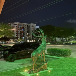 Oh deer Oh deer
