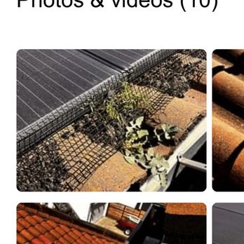 Knock 'Em Out Pest Control - Pest Control Near Me - Fairfield, California