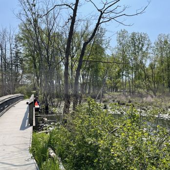 Stu Visser Trails - Little bridge - Parks Near Me - Holland, Michigan Stu Visser Trails - Little bridge - Parks Near Me - Holland, Michigan