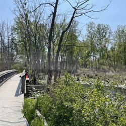 Stu Visser Trails - Little bridge