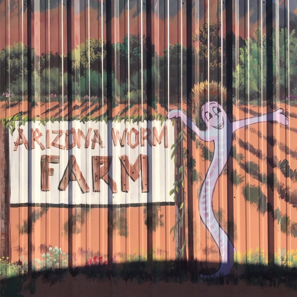 Arizona Worm Farm - Attraction Farms Near Me - Phoenix, Arizona Arizona Worm Farm - Attraction Farms Near Me - Phoenix, Arizona
