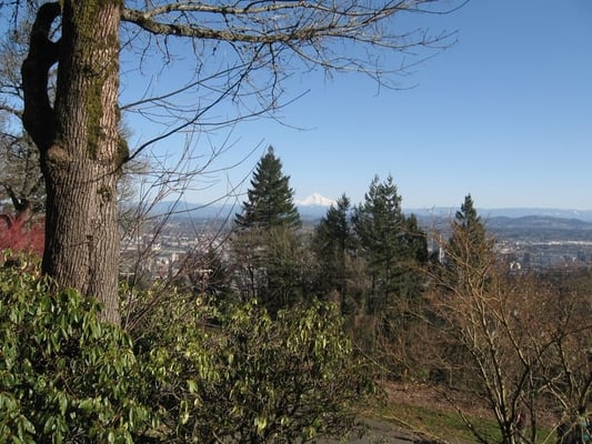 Pittock Mansion by null