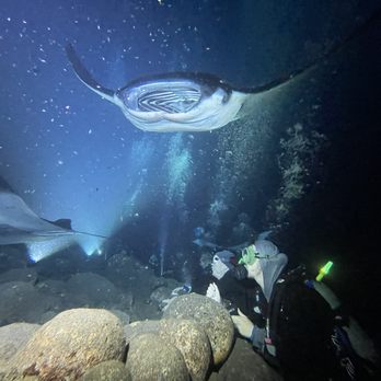 Jack's Diving Locker - My son and I and large Manta - Snorkeling Near Me - Kailua-Kona, Hawaii