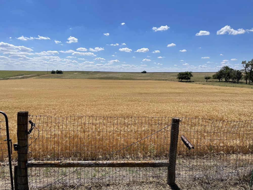 Midwest Telepsychiatry - grief counselor in Wichita, KS