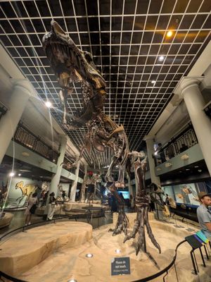 The Academy of Natural Sciences of Drexel University by null