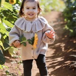 Rancho Bernardo Pumpkin Farm - Sunflower fields
