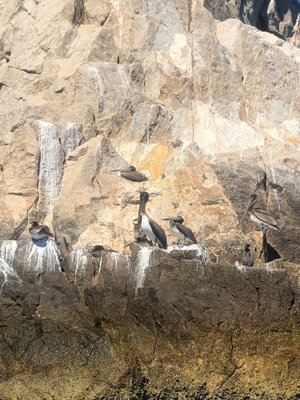 Chileno Bay Public Beach by null