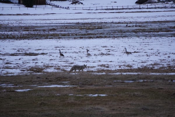 The Hole Hiking Experience by null