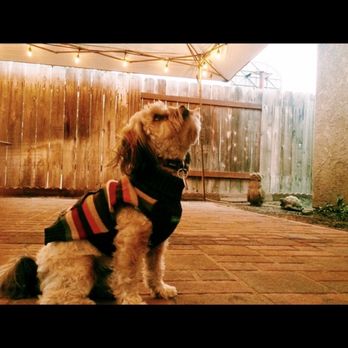 Palm Ridge Grooming Gallery - Pet Groomers Near Me - Chula Vista, California