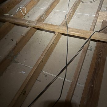 Handyman Rodent Proofing - Pest Control Near Me - Pittsburg, California