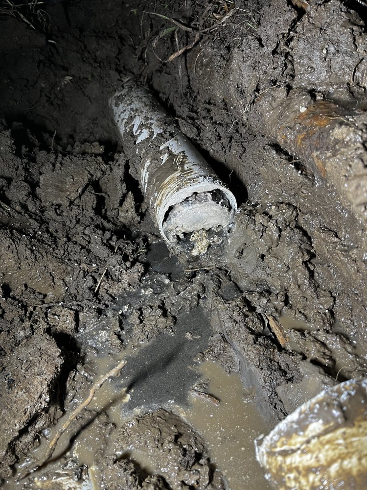 Slide of Arkansas Rooter