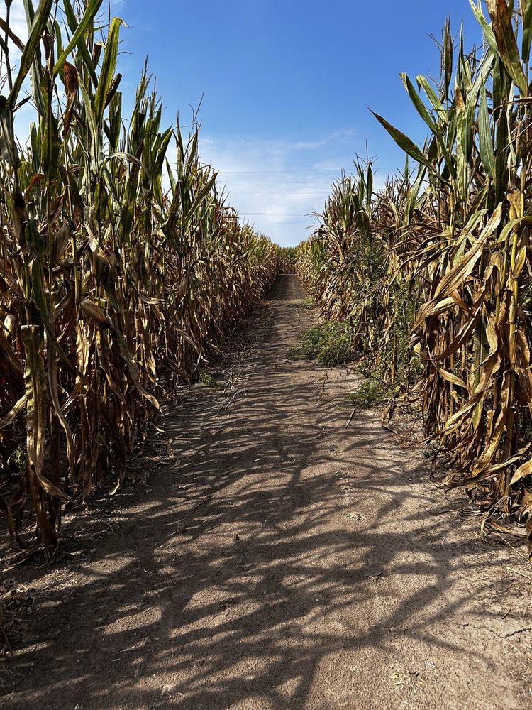 Social spots from Hippie Hillbilly Farm